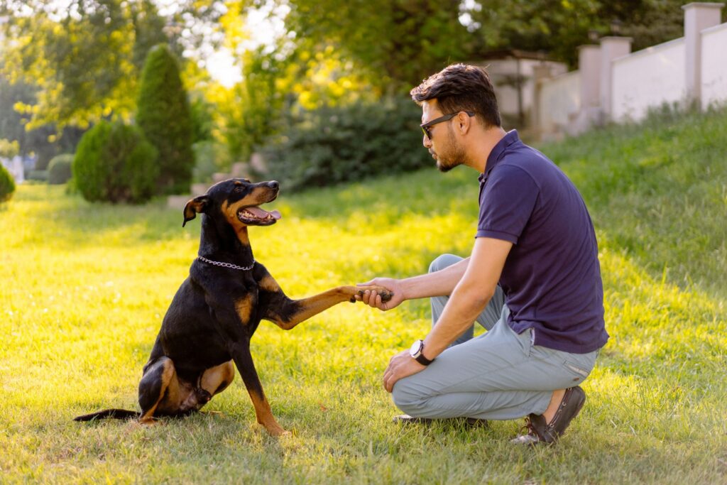 istock 822656476 2200x1467