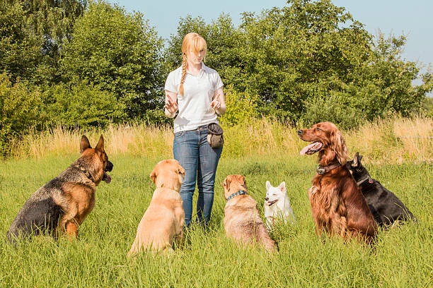 istockphoto 468006300 612x612 1
